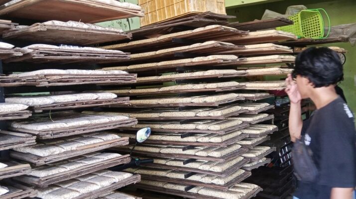 Harga Kedelai Impor Naik dan Produksi Terganggu Banjir, Ukuran Tempe di Semarang Mulai Menyusut