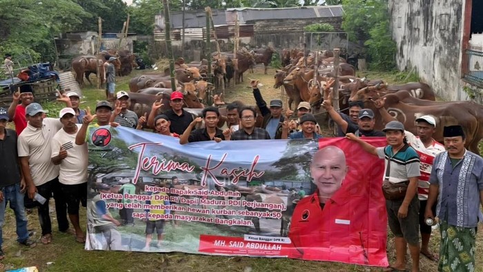 PDIP Jawa Timur Salurkan Ratusan Sapi Kurban untuk Warga Kurang Mampu dan Panti Asuhan